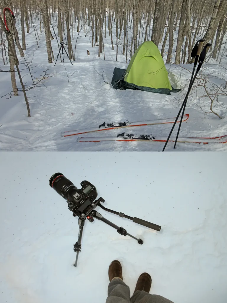 Additional photograph made by Brian Kaufman while working on "American Beech" nature-in-motion piece shows his winter camp.