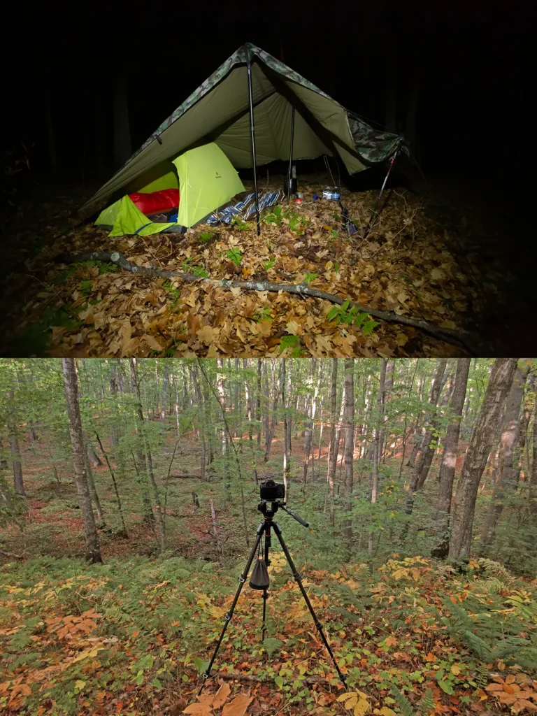 Additional photograph made by Brian Kaufman while working on "American Beech" nature-in-motion piece shows his summer and fall camp.