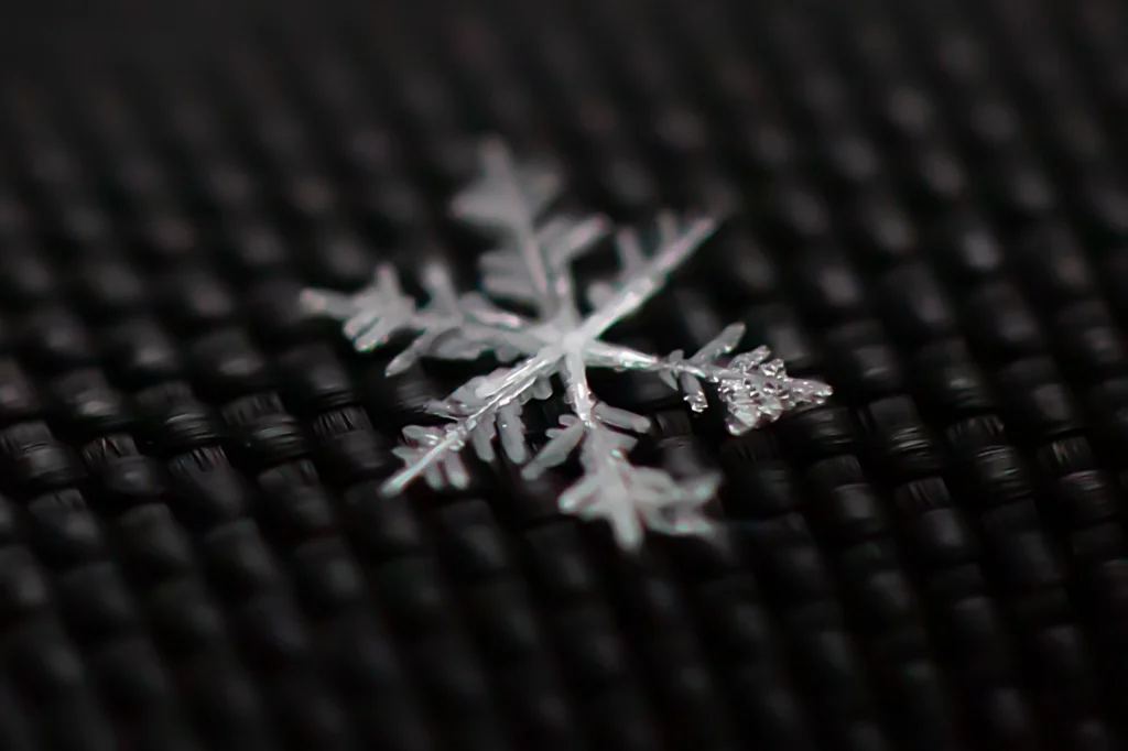 Additional photograph made by Brian Kaufman while working on "American Beech" nature-in-motion piece shows a snowflake detail.