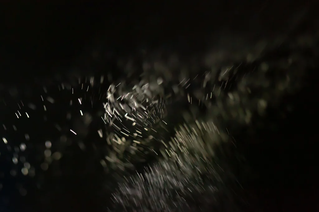 Additional photograph made by Brian Kaufman while working on "American Beech" nature-in-motion piece shows steam rising from a Jetboil.