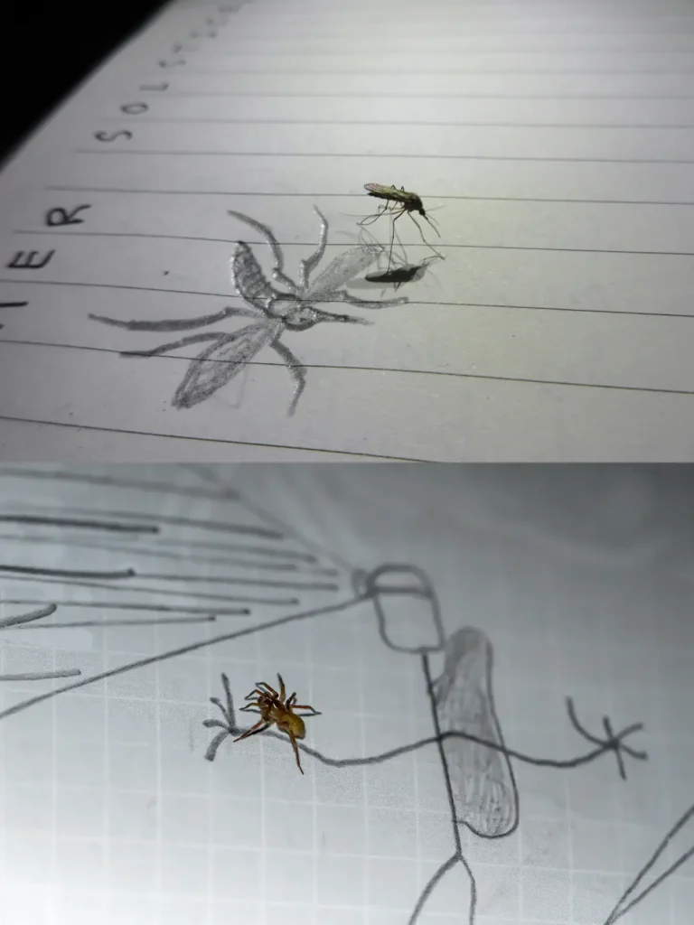 Additional photograph made by Brian Kaufman while working on "American Beech" nature-in-motion piece shows insects on a journal.