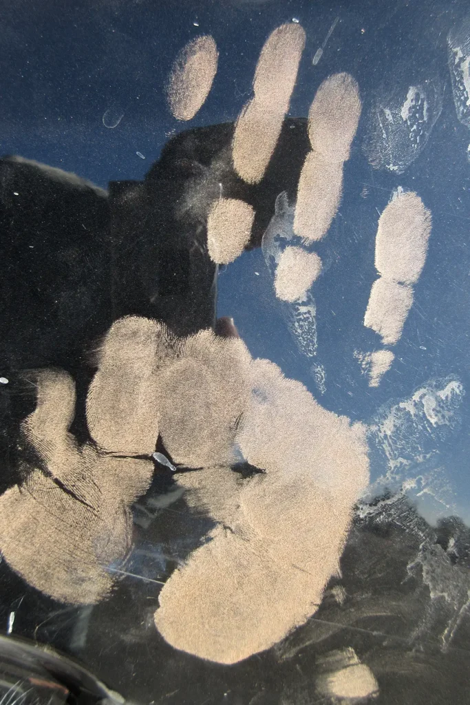 Additional photograph made by Brian Kaufman while working on "Annularity" nature-in-motion piece shows a dusty handprint on the side of a truck.