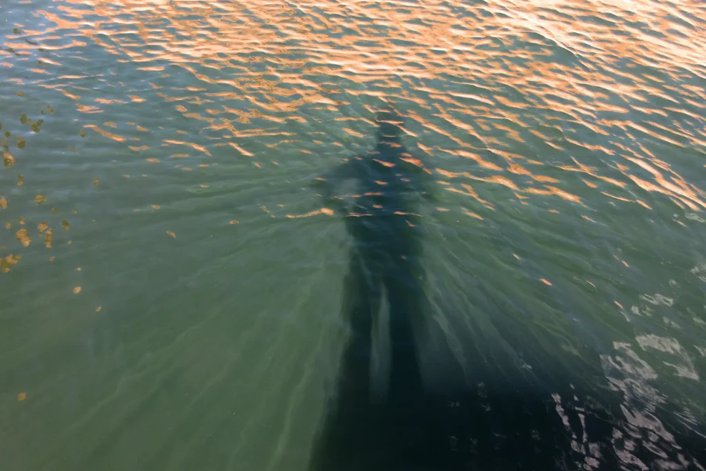 Additional photograph made by Brian Kaufman while working on "Annularity" nature-in-motion piece shows him standing on the bank of Lake Powell.