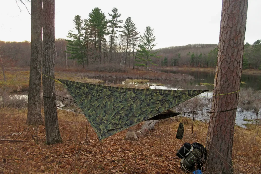 Additional photograph made by Brian Kaufman while working on "The Trumpeter" nature-in-motion piece shows his hammock setup