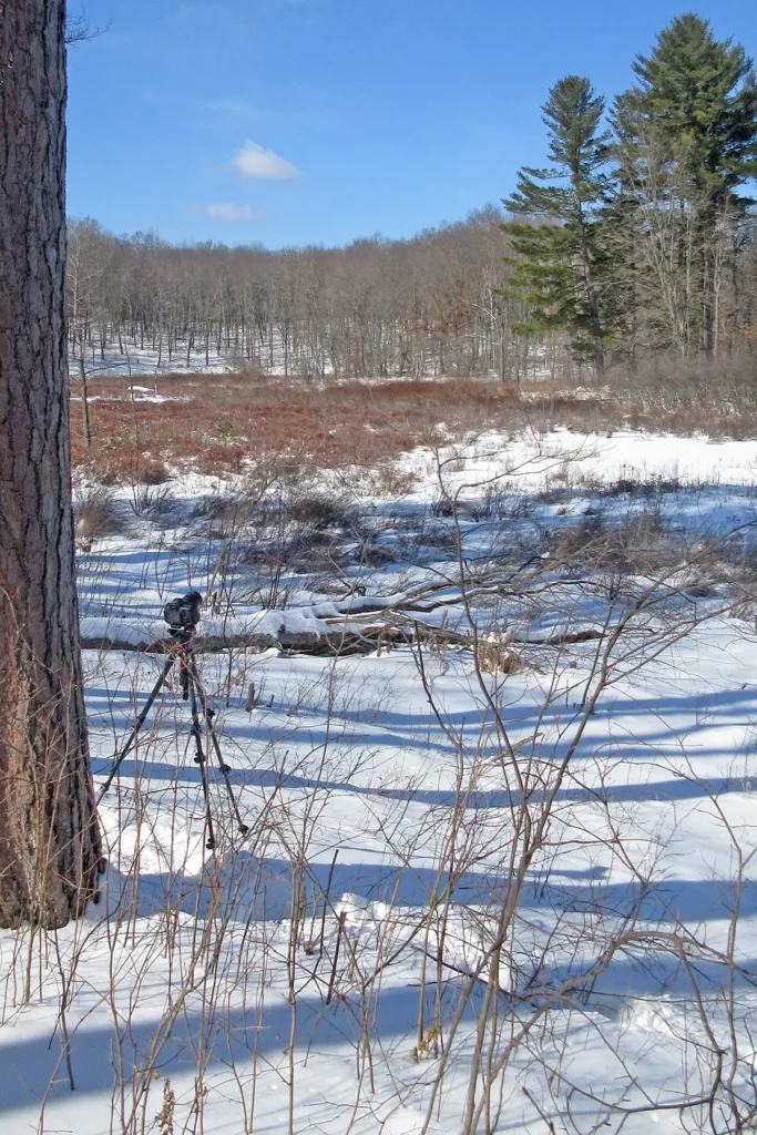 Additional photograph made by Brian Kaufman while working on "The Trumpeter" nature-in-motion piece shows the tripod in winter