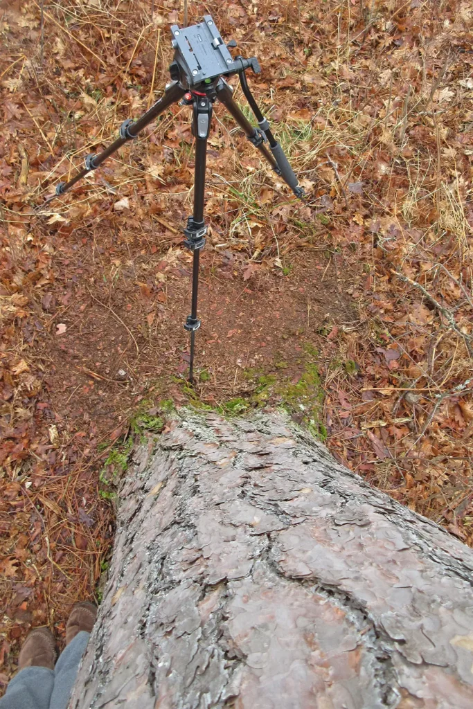 Additional photograph made by Brian Kaufman while working on "The Trumpeter" nature-in-motion piece shows the tripod in fall