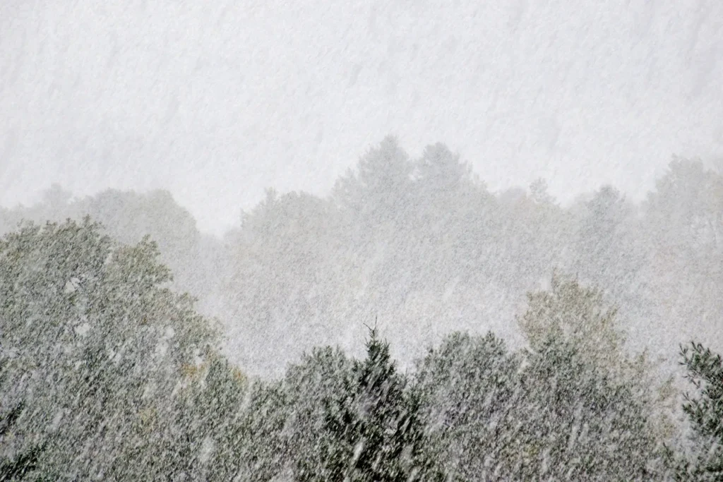 Additional photograph made by Brian Kaufman while working on "Totality" nature-in-motion piece shows a snow-covered trail